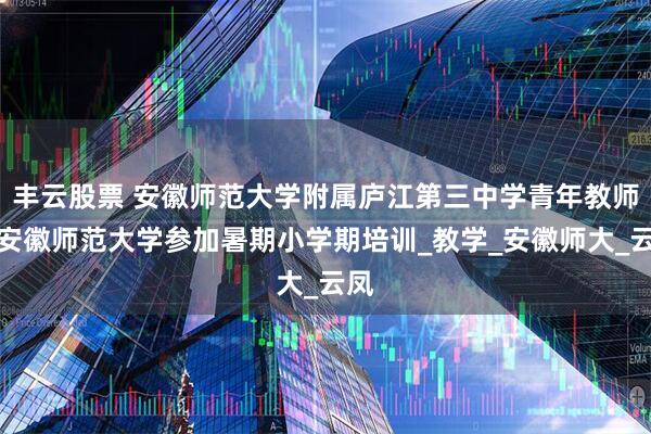 丰云股票 安徽师范大学附属庐江第三中学青年教师赴安徽师范大学参加暑期小学期培训_教学_安徽师大_云凤