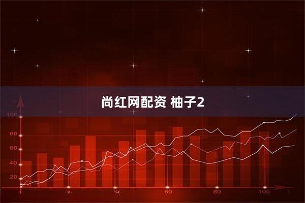 尚红网配资 柚子2