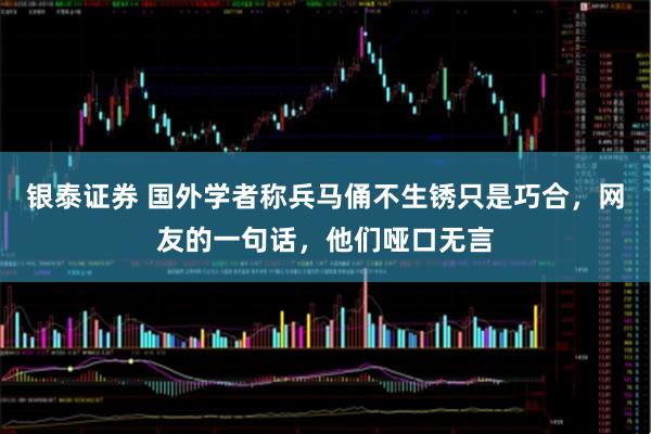 银泰证券 国外学者称兵马俑不生锈只是巧合,网友的一句话,他们哑口无言