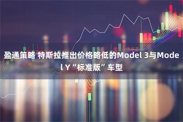 盈通策略 特斯拉推出价格略低的Model 3与Model Y“标准版”车型